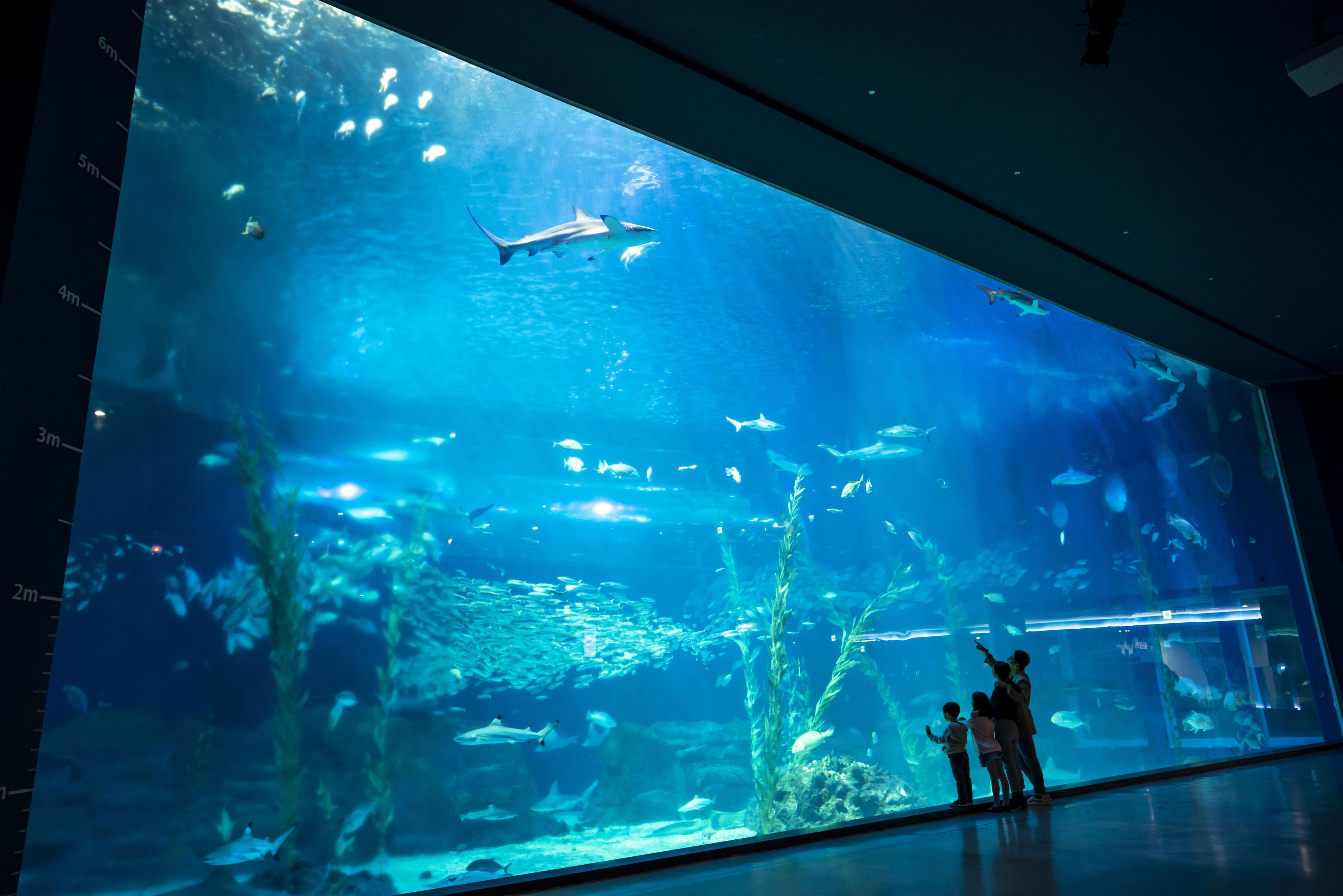 10800韩元 (99) 사진