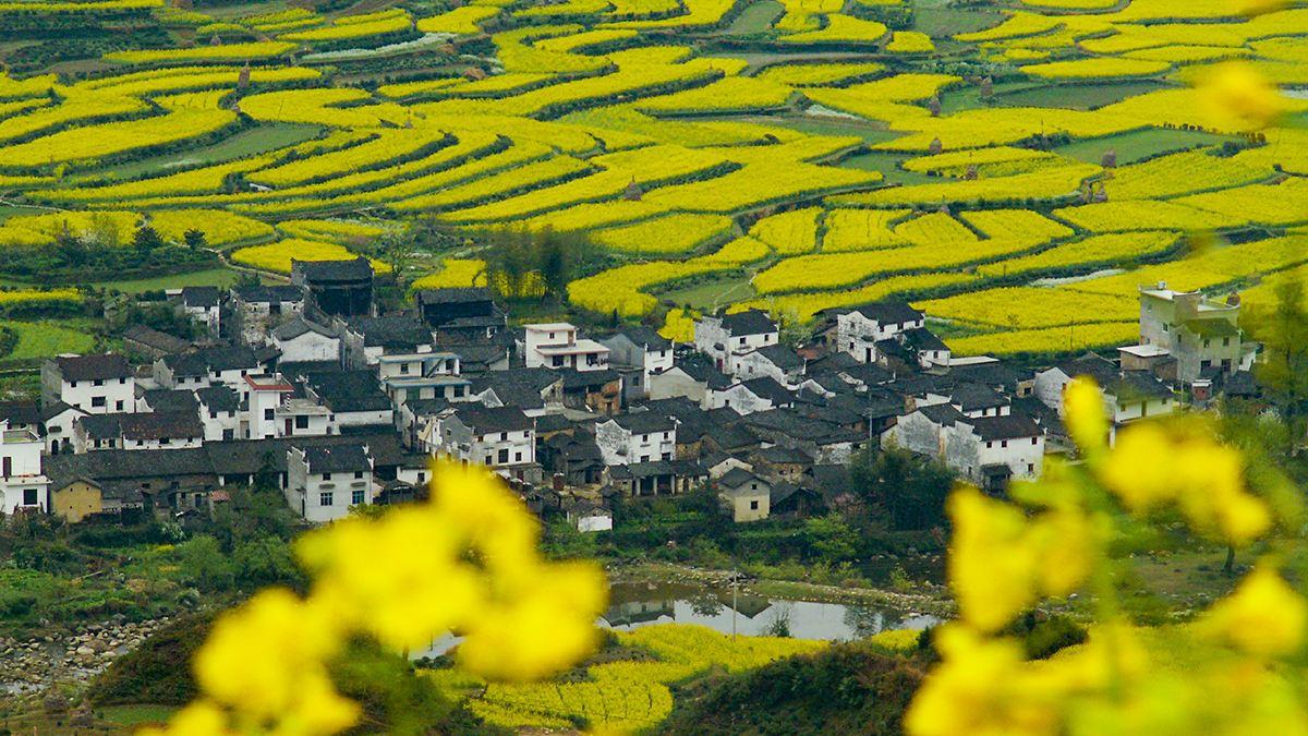 江岭景区