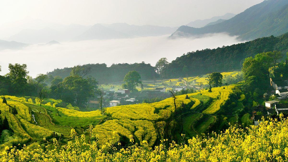 江岭景区