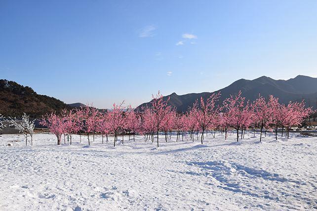 天女小镇滑雪场