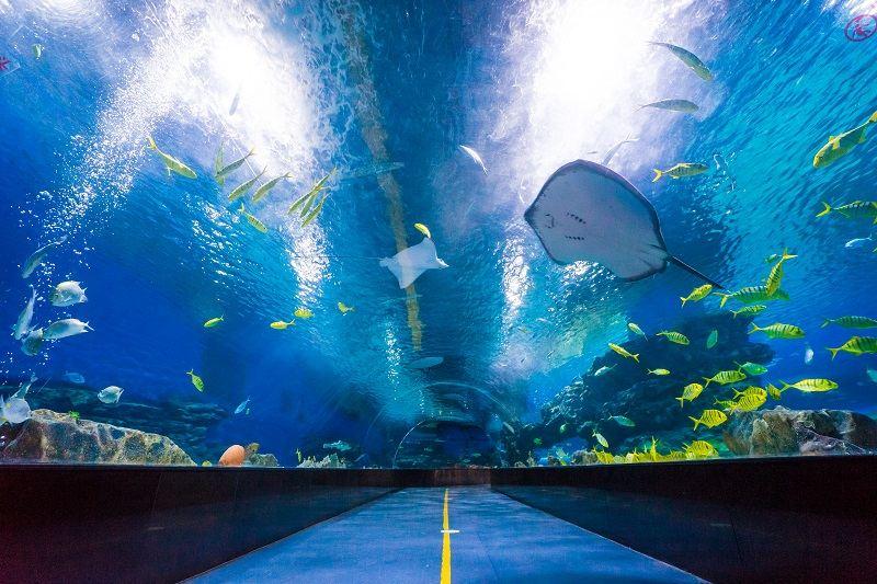 海合安天津极地海洋公园