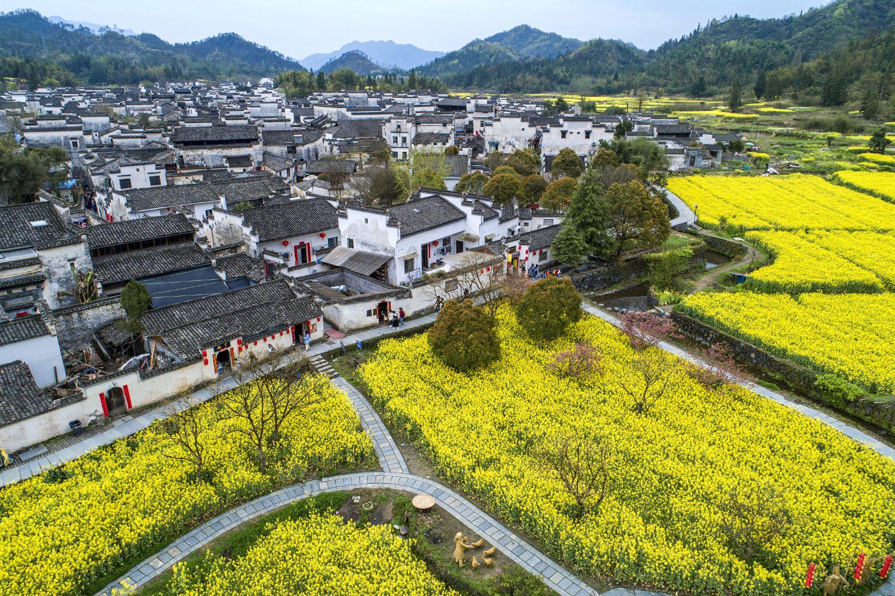西递