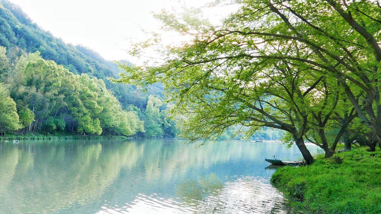 鼎湖峰