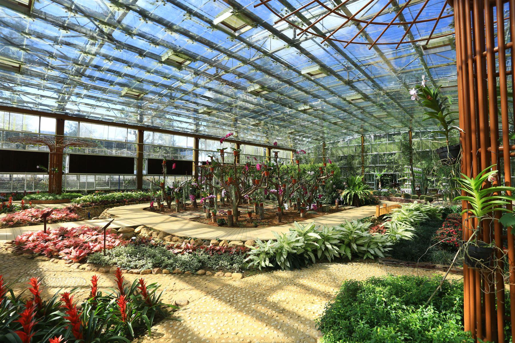 兴隆热带植物园