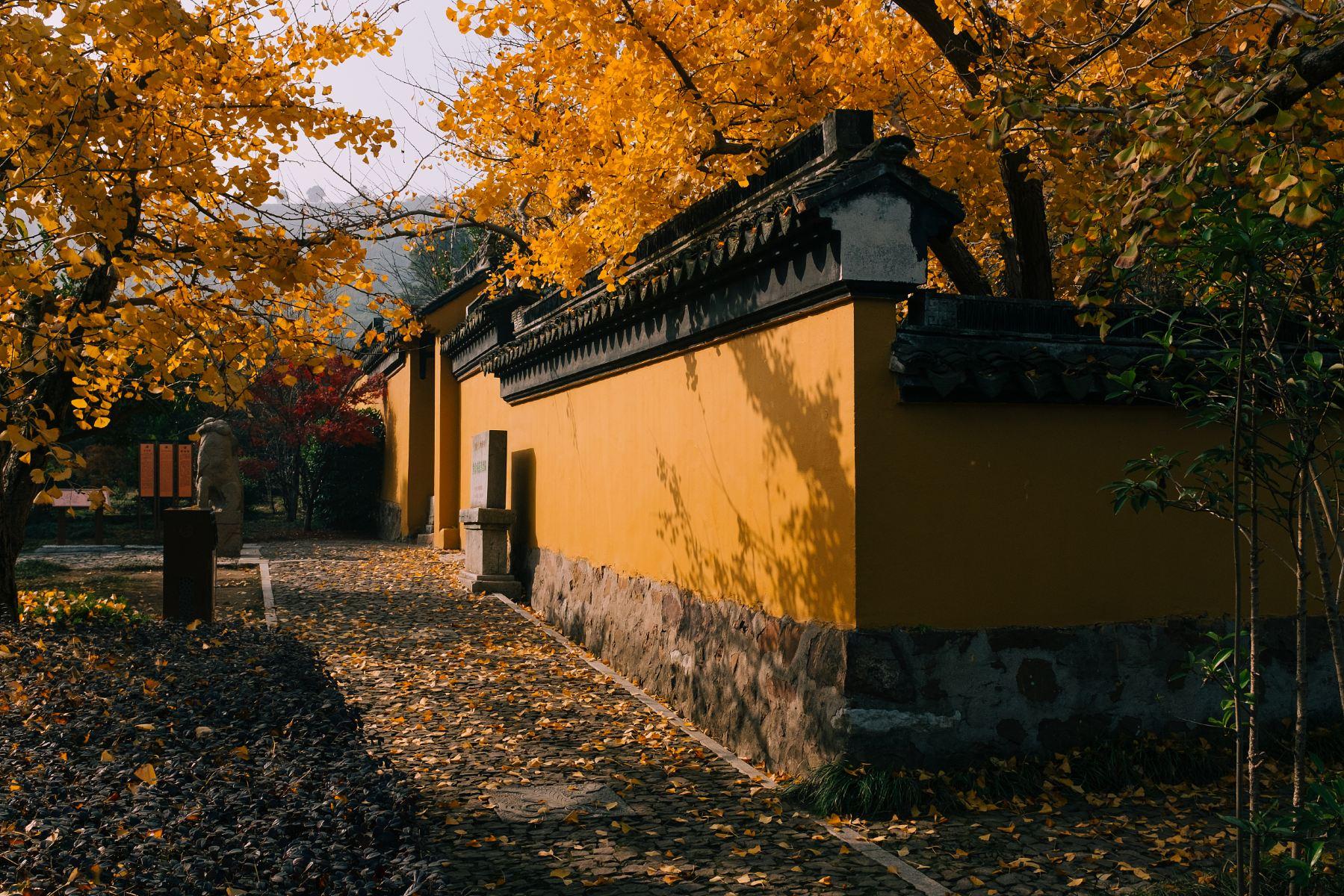 紫金庵