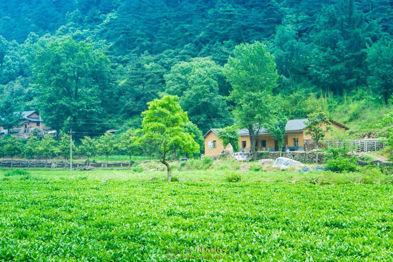 大洪山风景名胜区