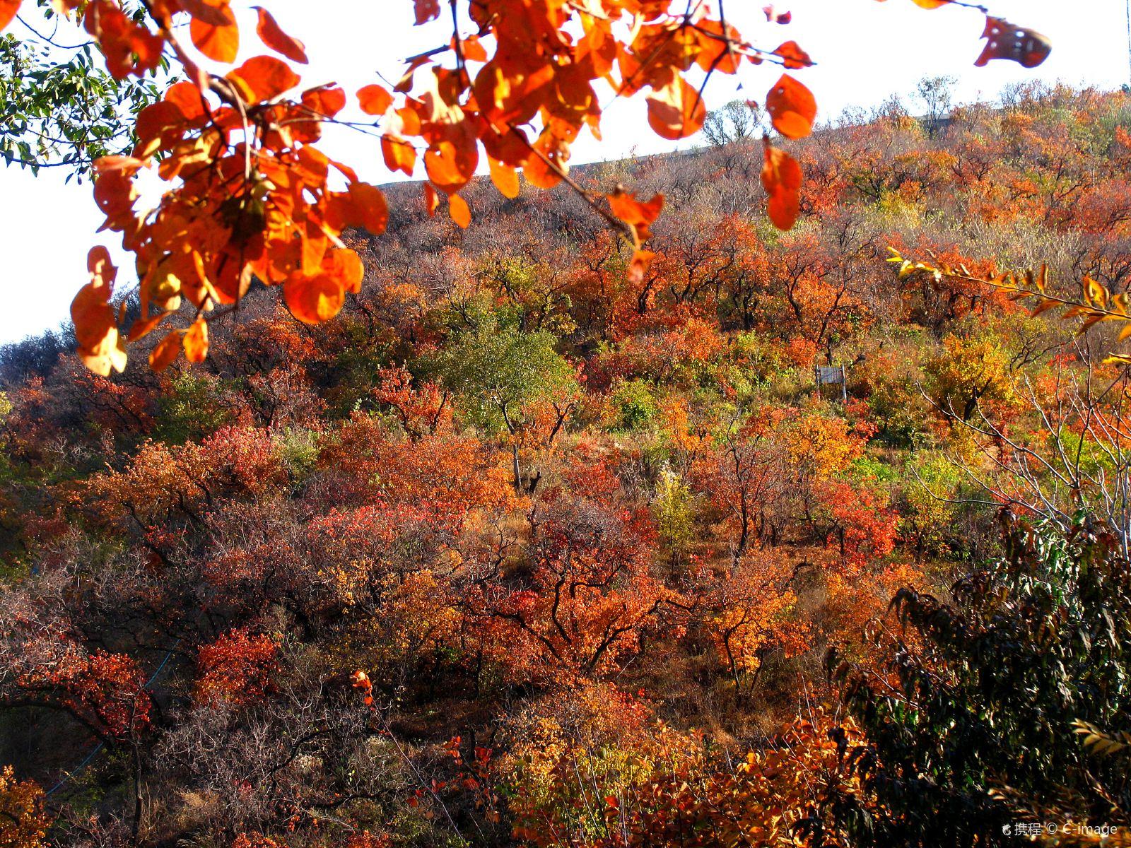 香山公园