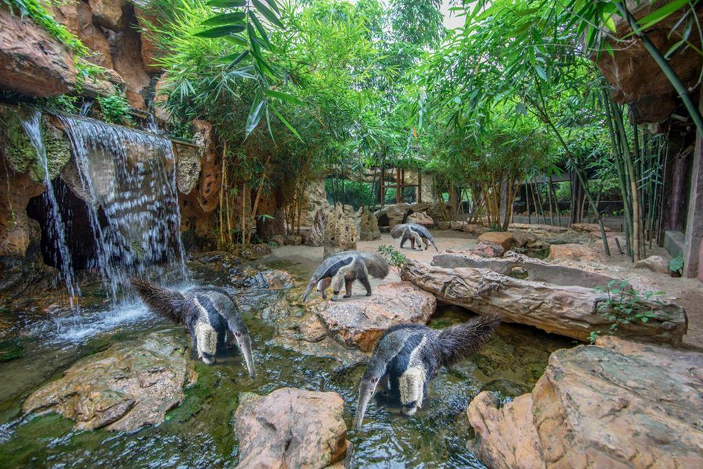 长鹿旅游休博园