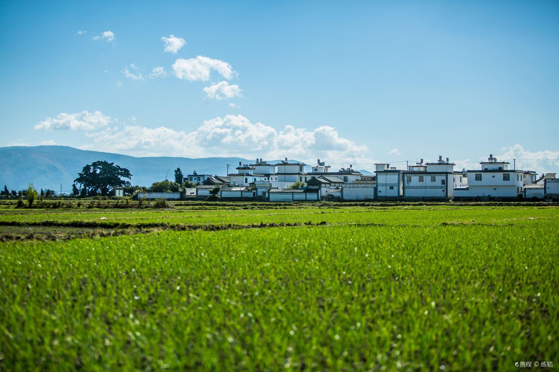 喜洲