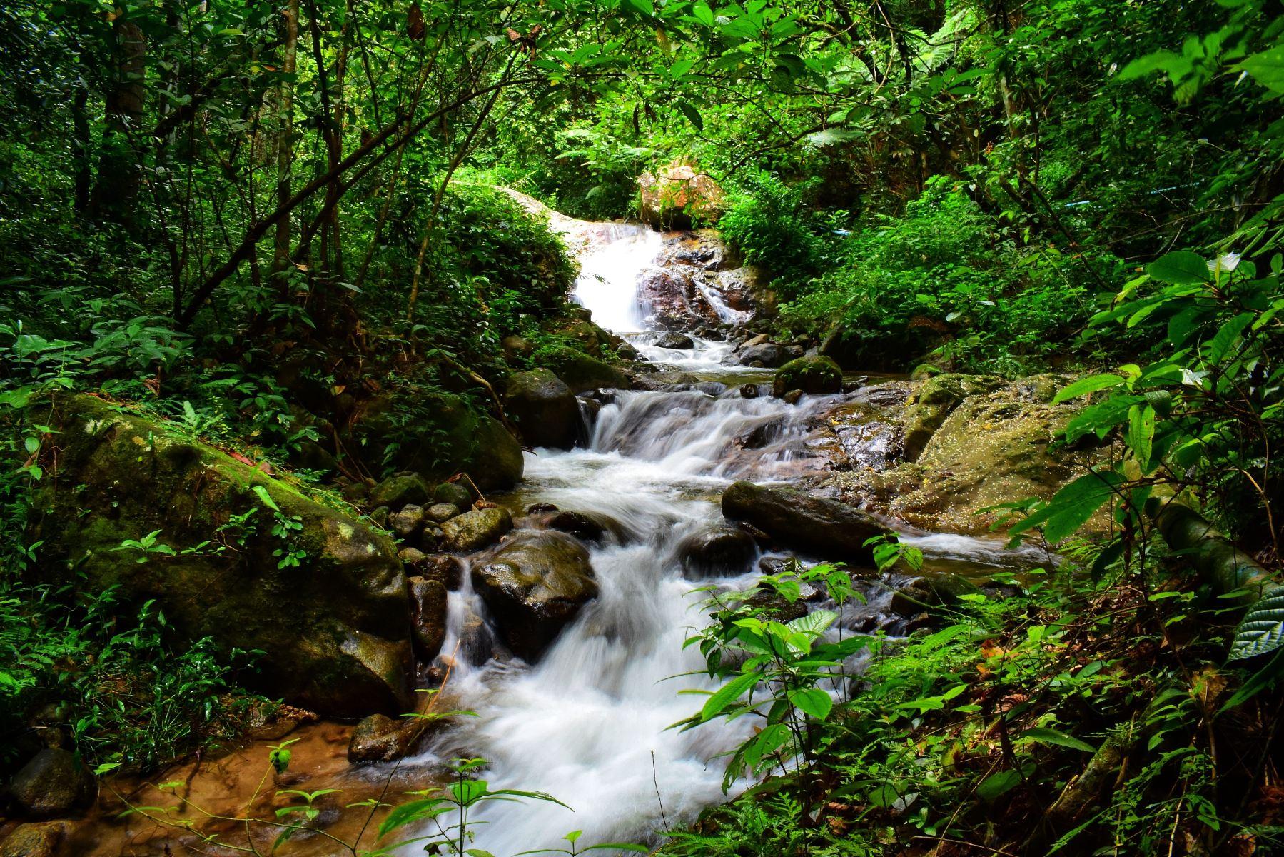 五指山水满河热带雨林风景区