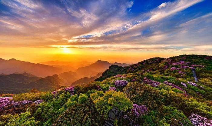 金佛山