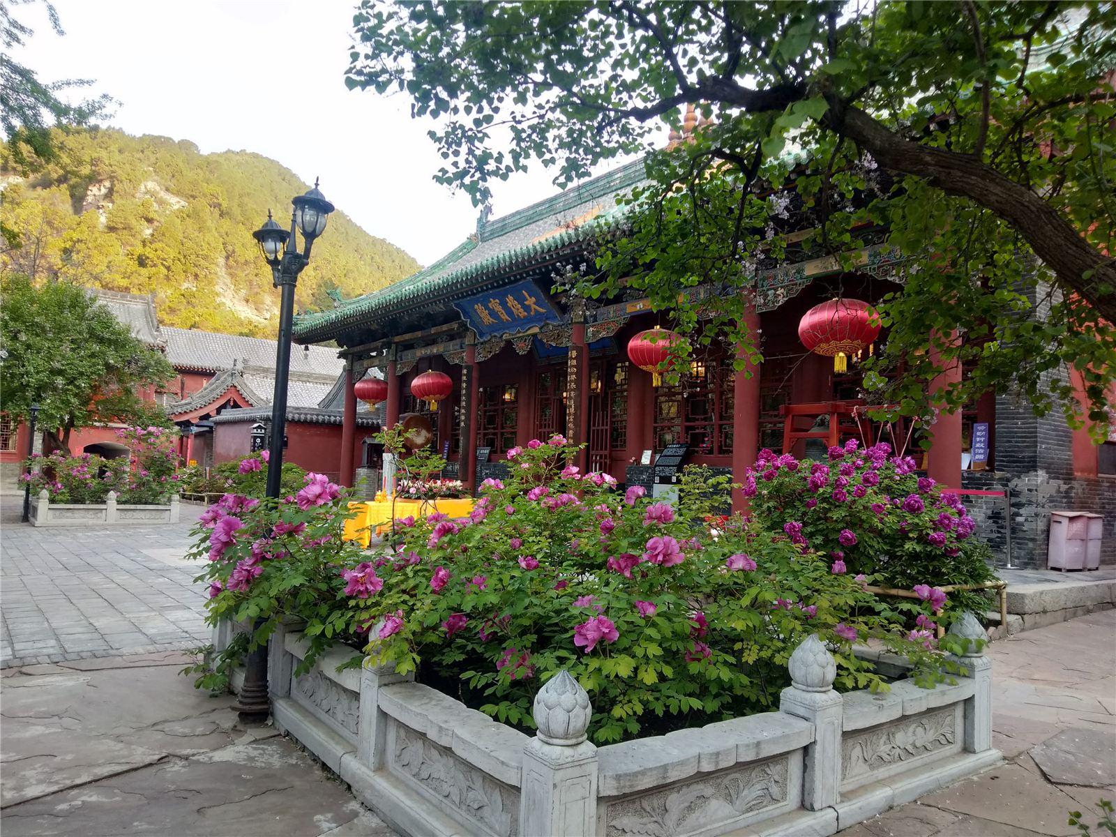 玄中寺