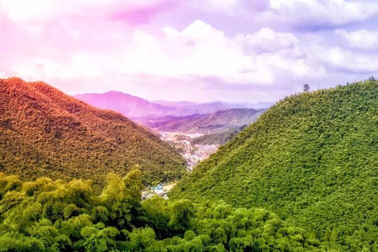 中国大竹海景区
