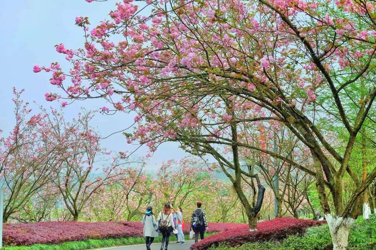 重庆园博园