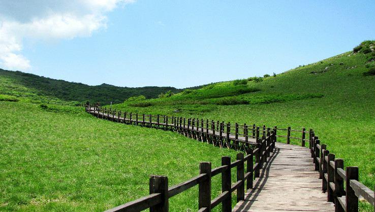 紫柏山国家森林公园