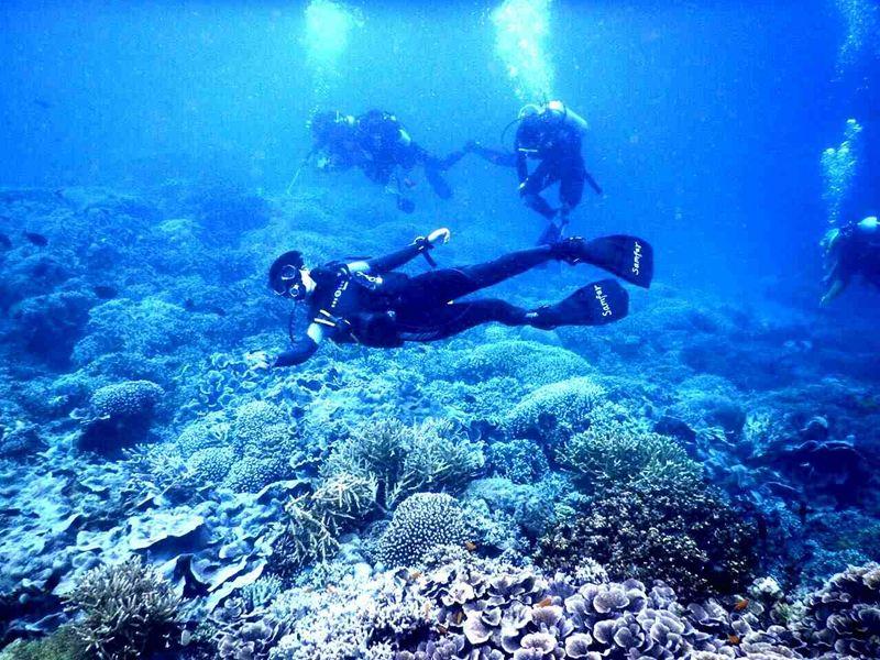 亚龙湾爱琴海PADI潜水度假村