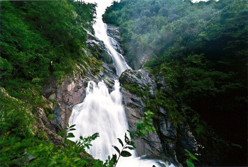 天目山自然保护区