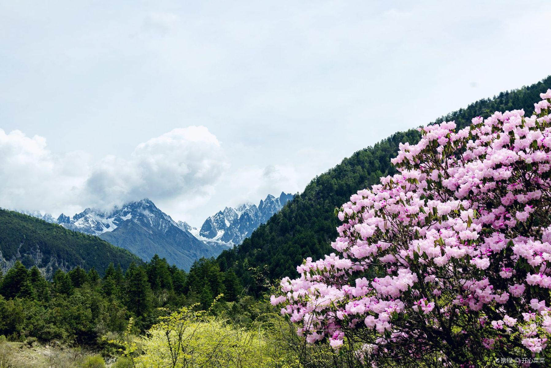 康定木格措景区
