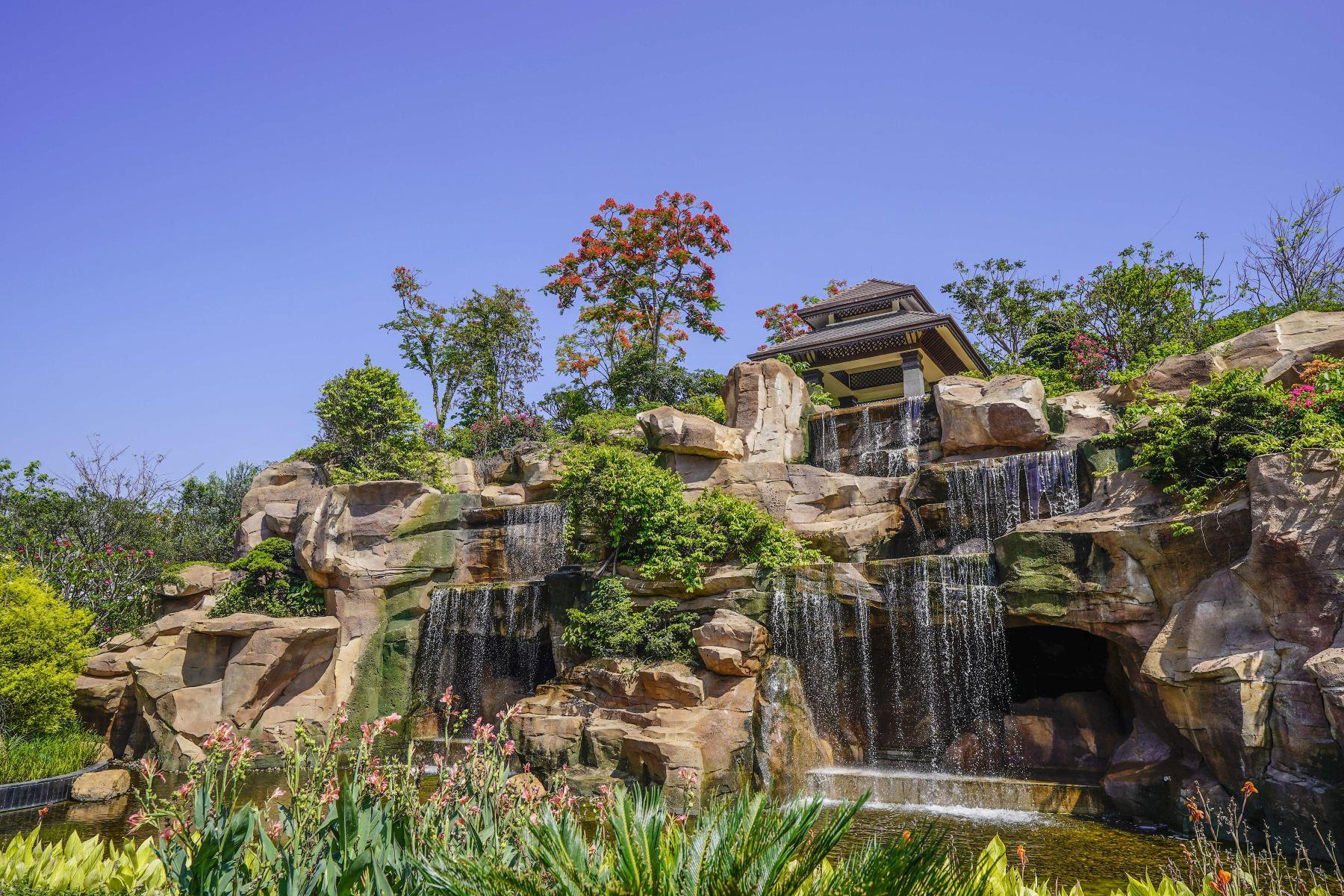 海花岛珍奇特色植物园