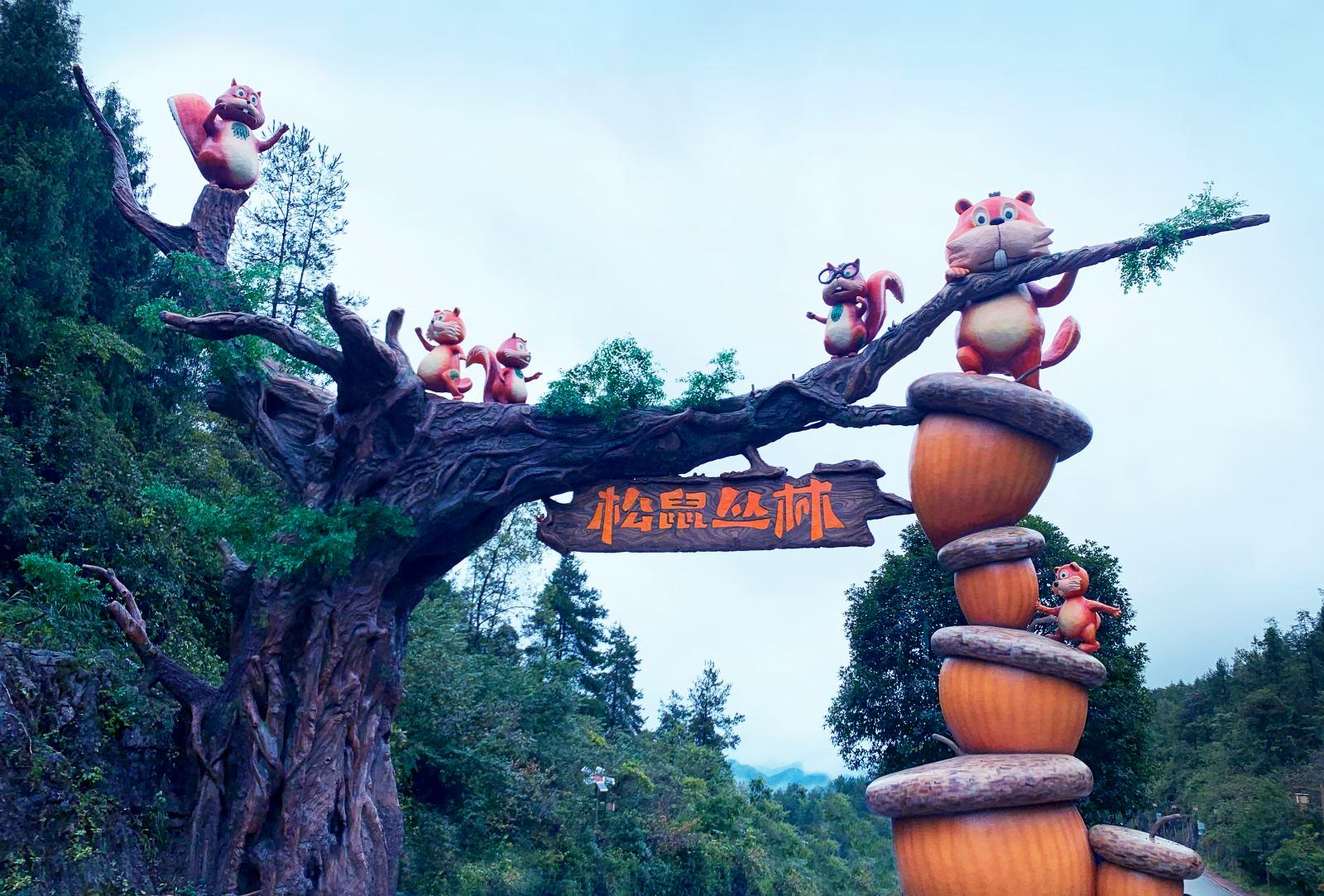 松鼠丛林乐园