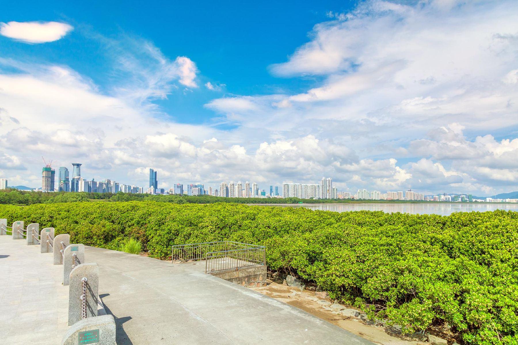 红树林海滨生态公园