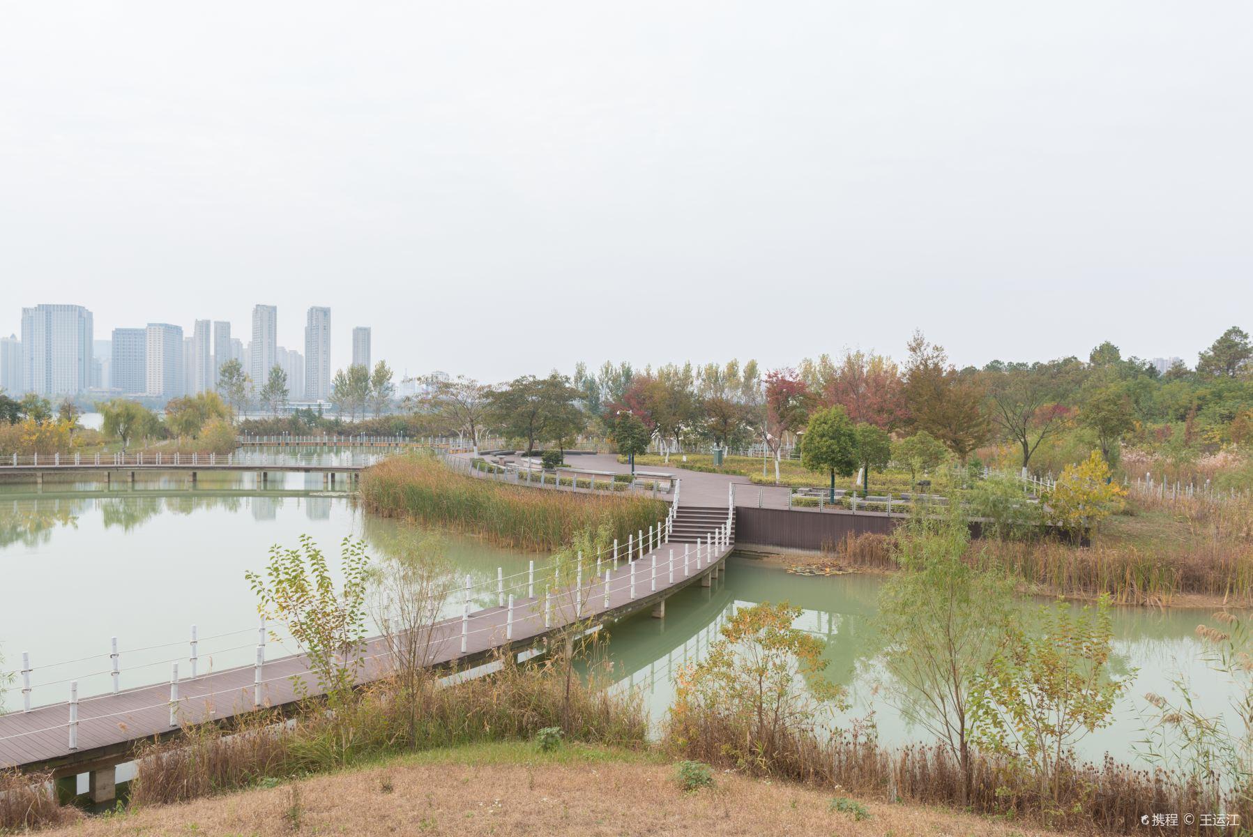 蚌埠龙子湖景区