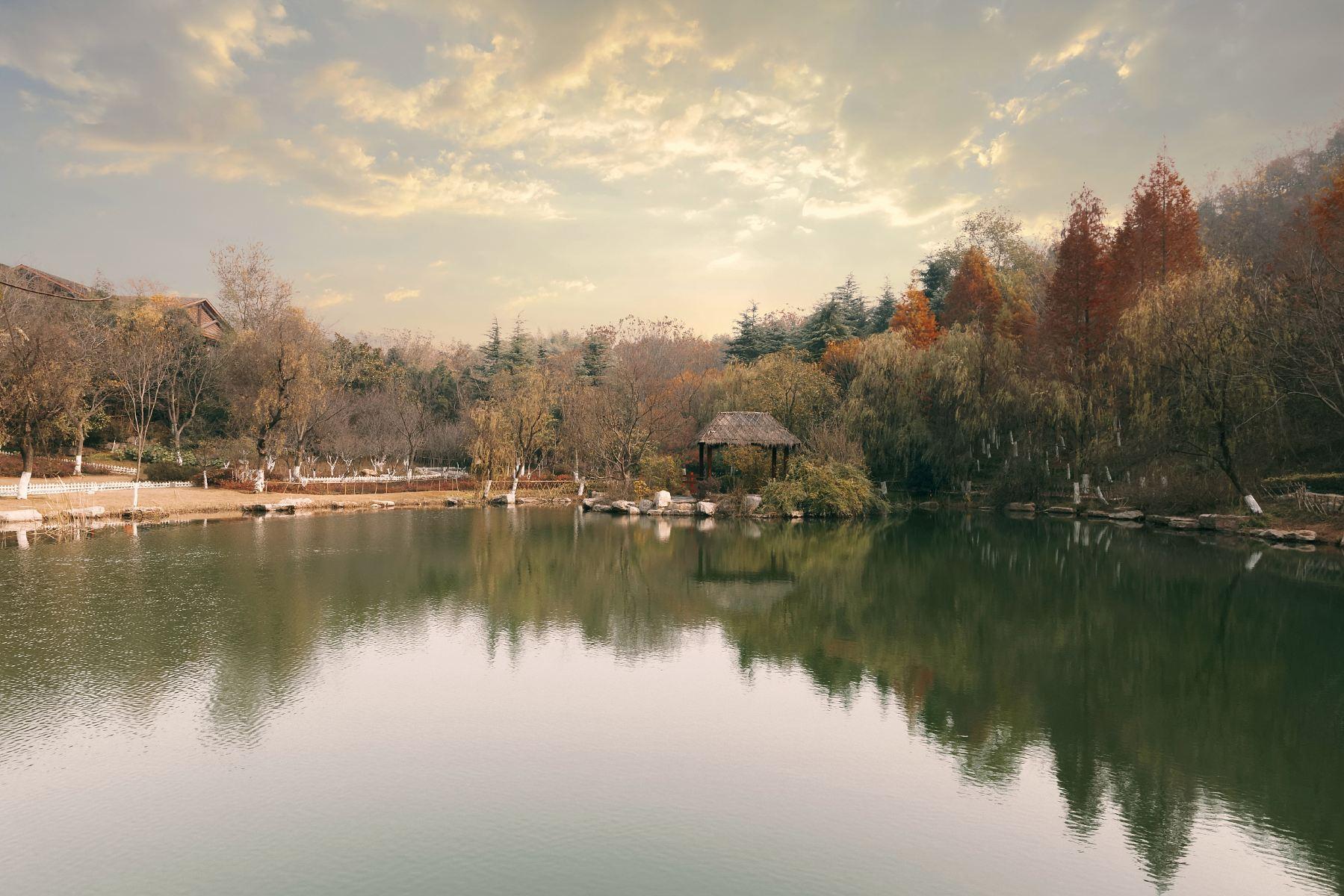 城市海景