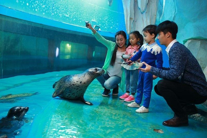泉城欧乐堡海洋极地世界