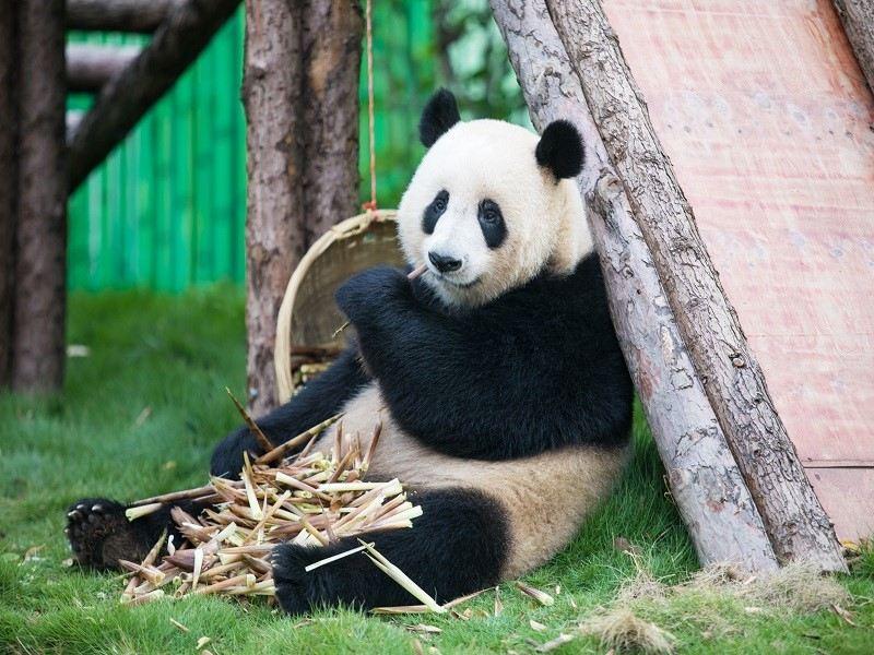 泉城欧乐堡动物王国