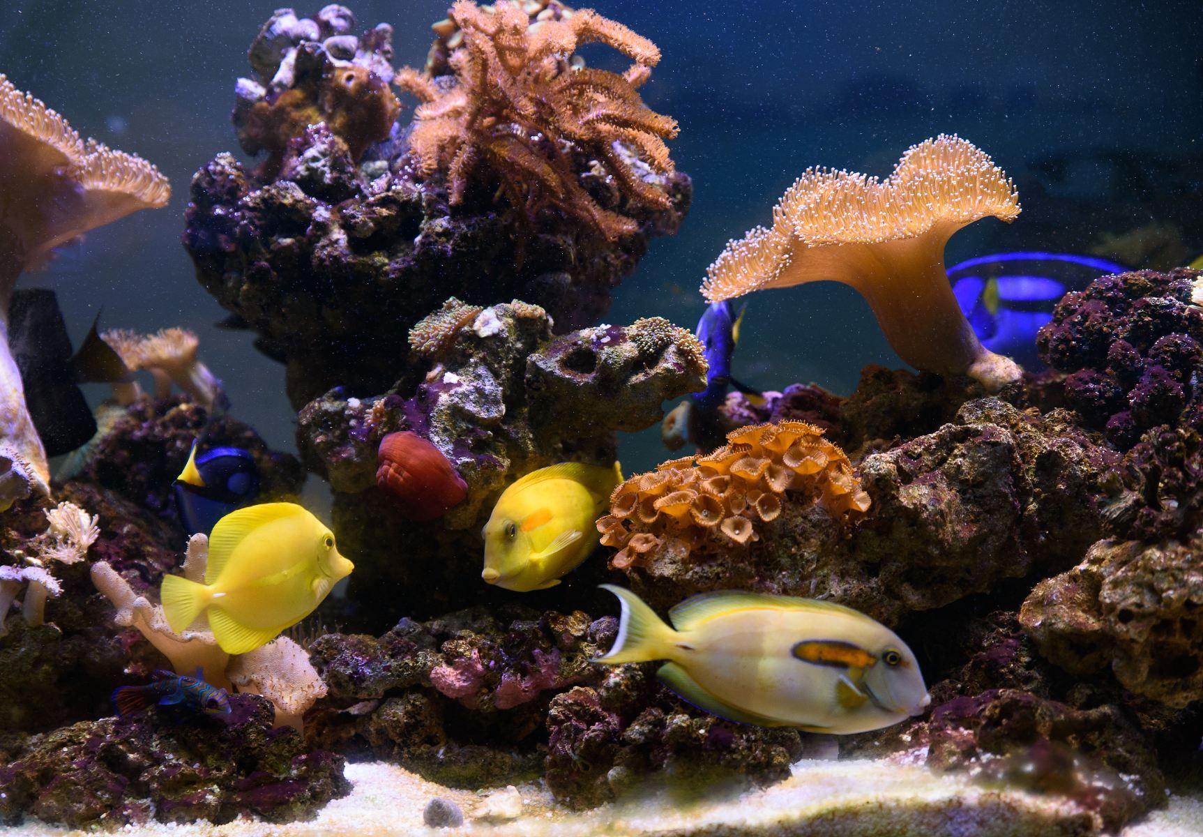 海洋之窗