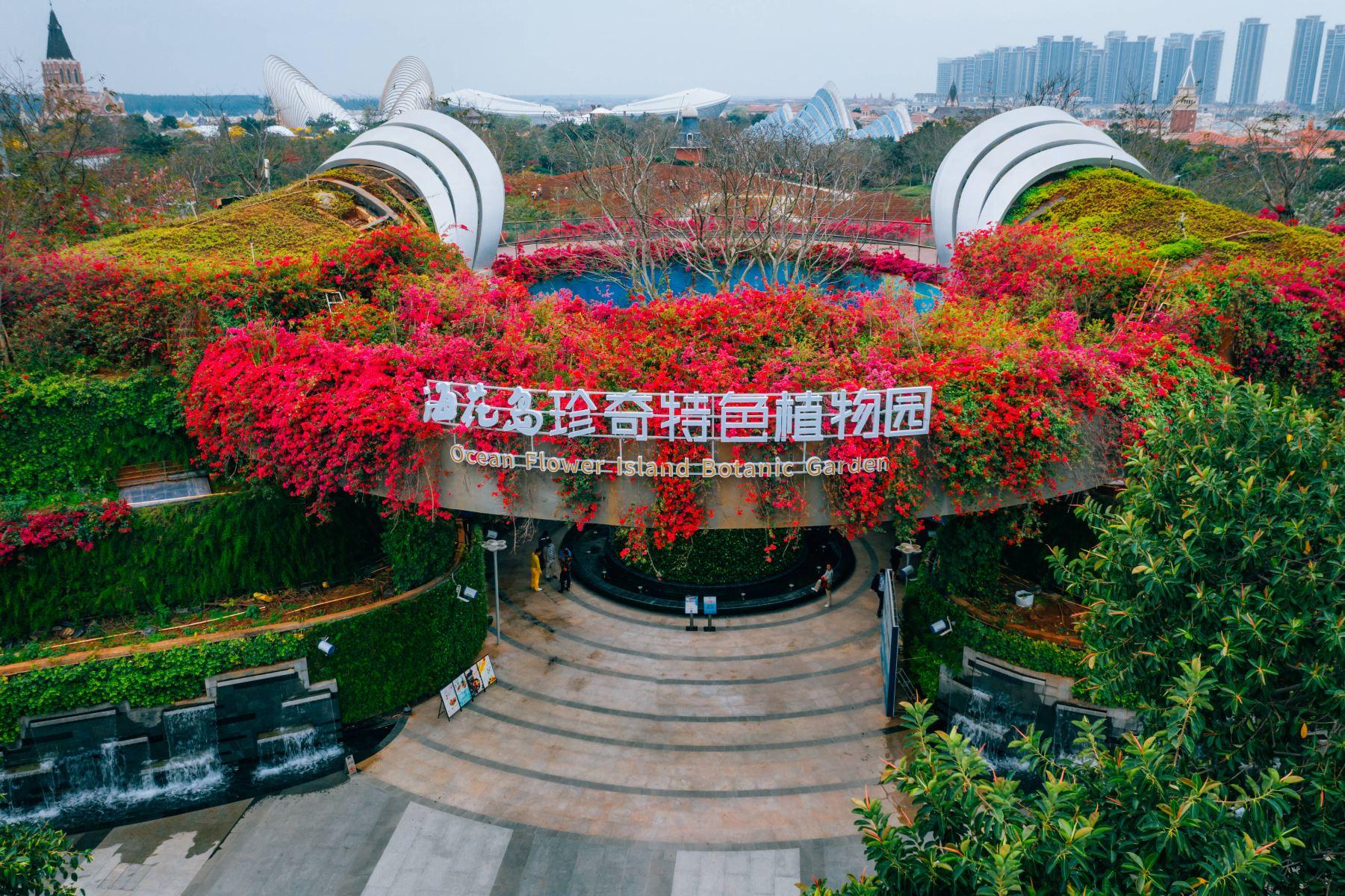 海花岛珍奇特色植物园