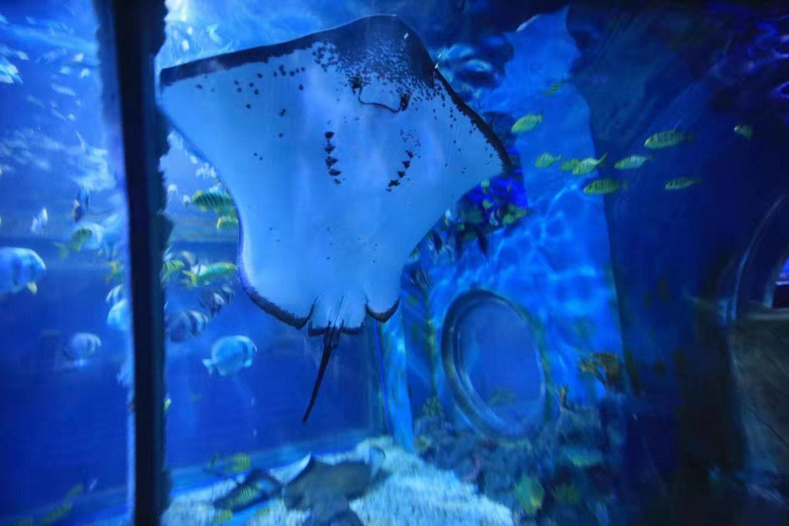海之语海洋世界