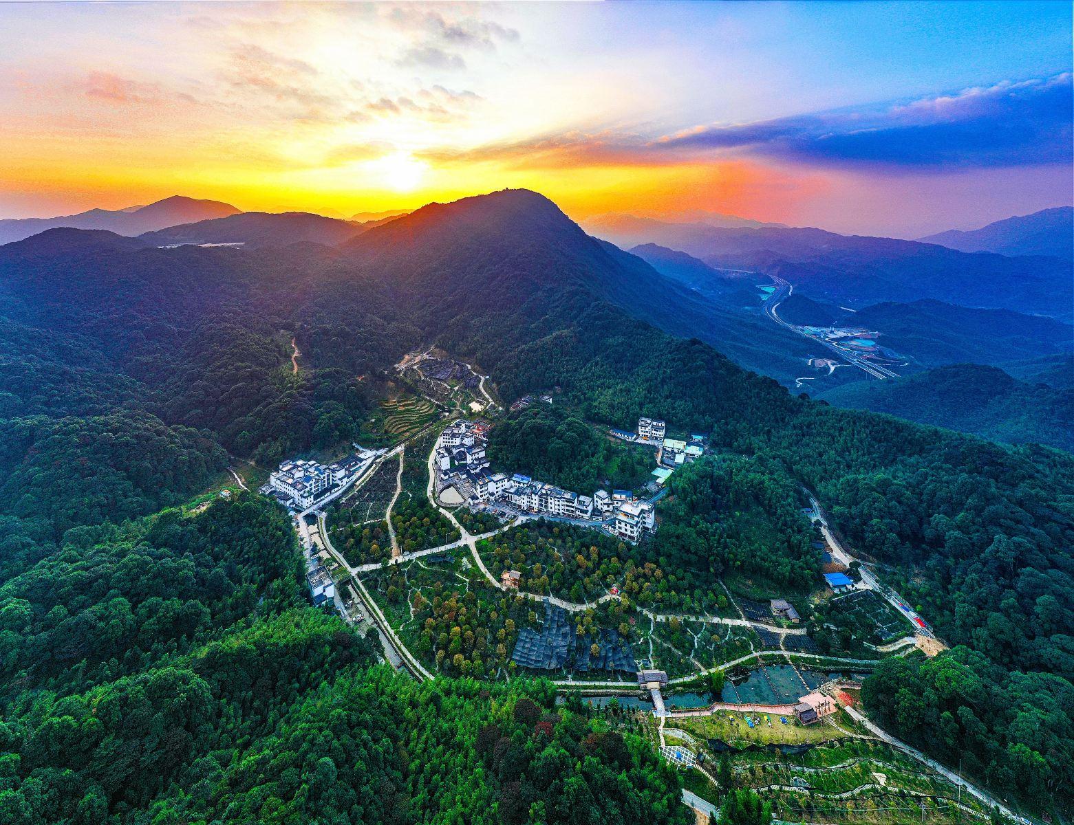 桂峰村