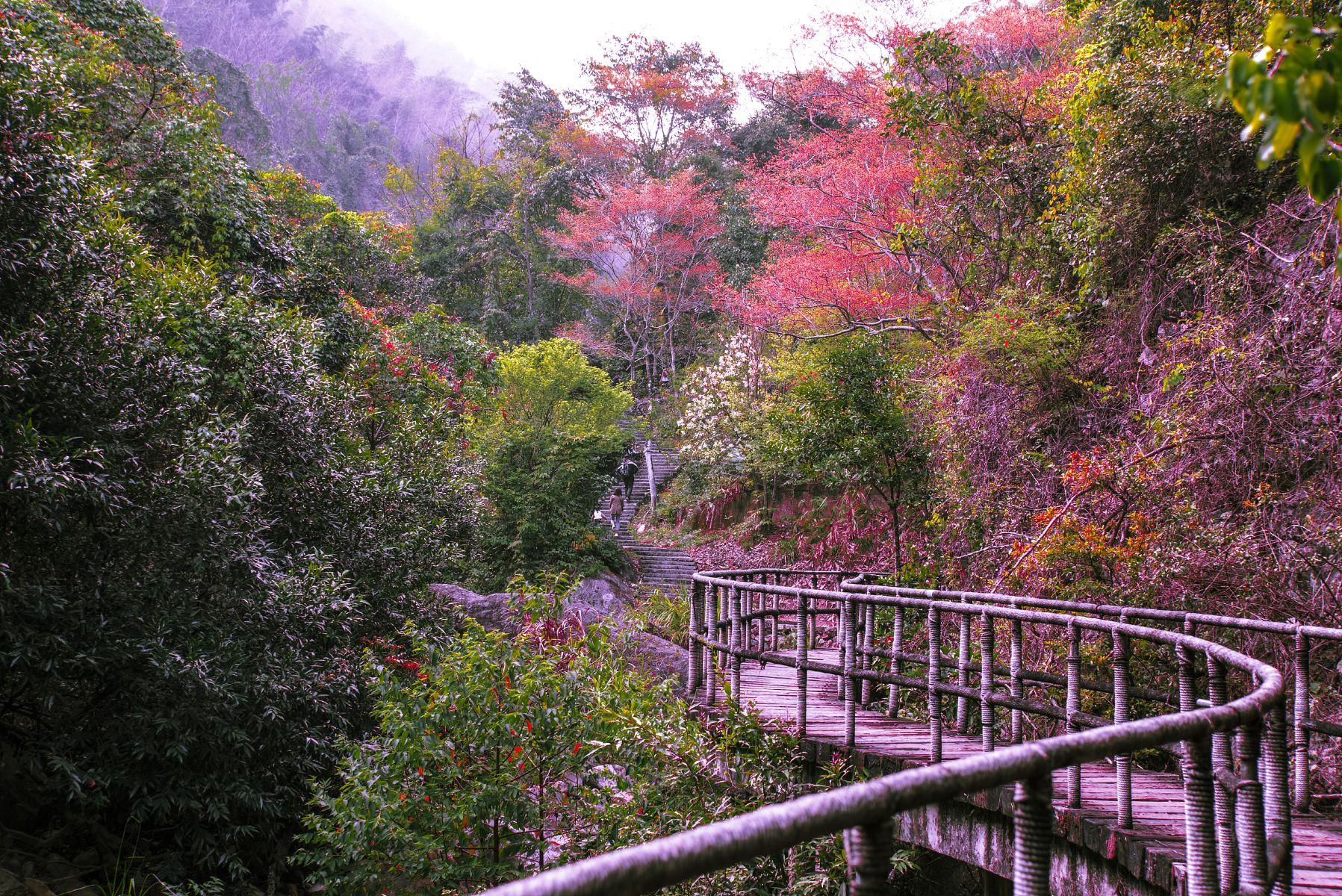 福州旗山公园图片