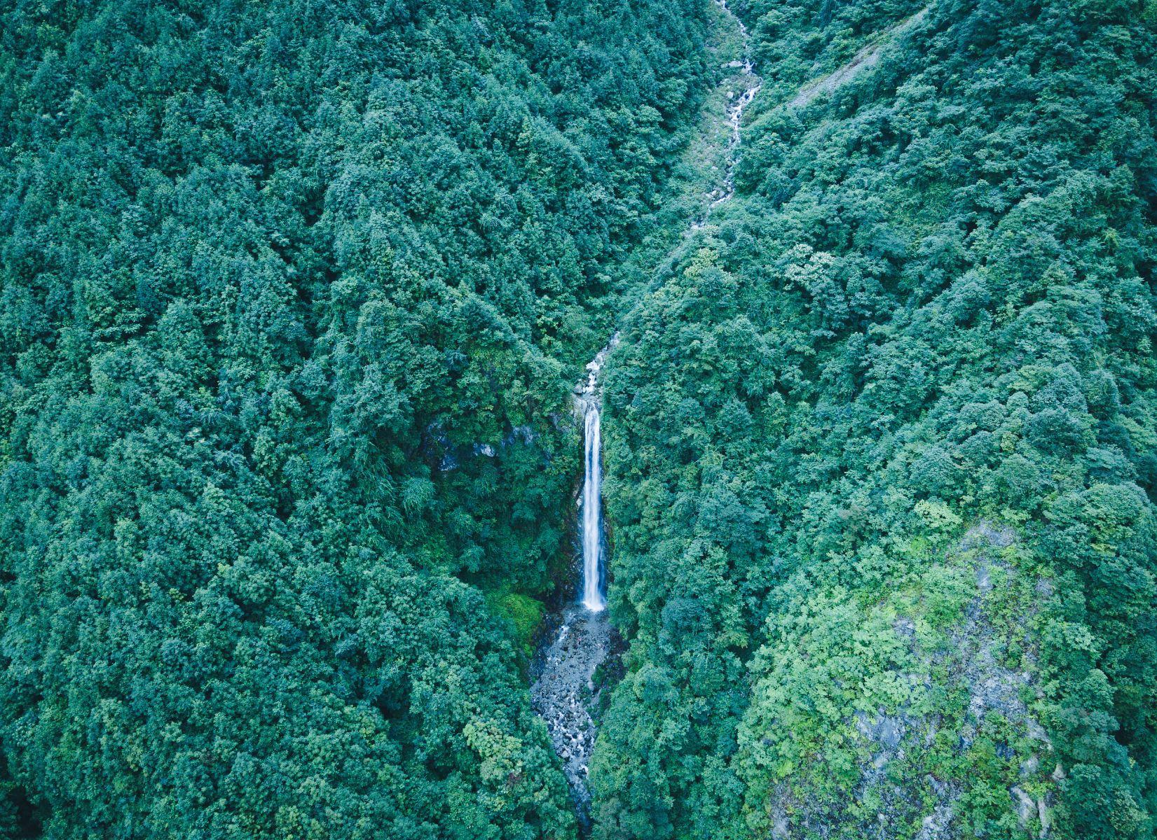 蟠龙谷