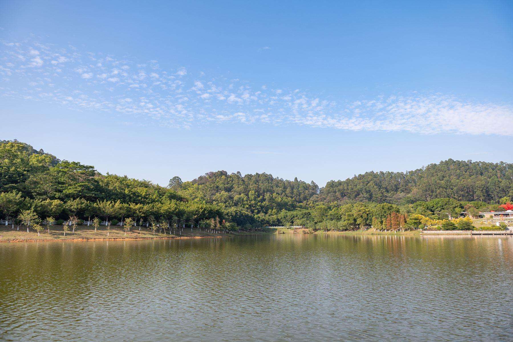 大夫山森林公园