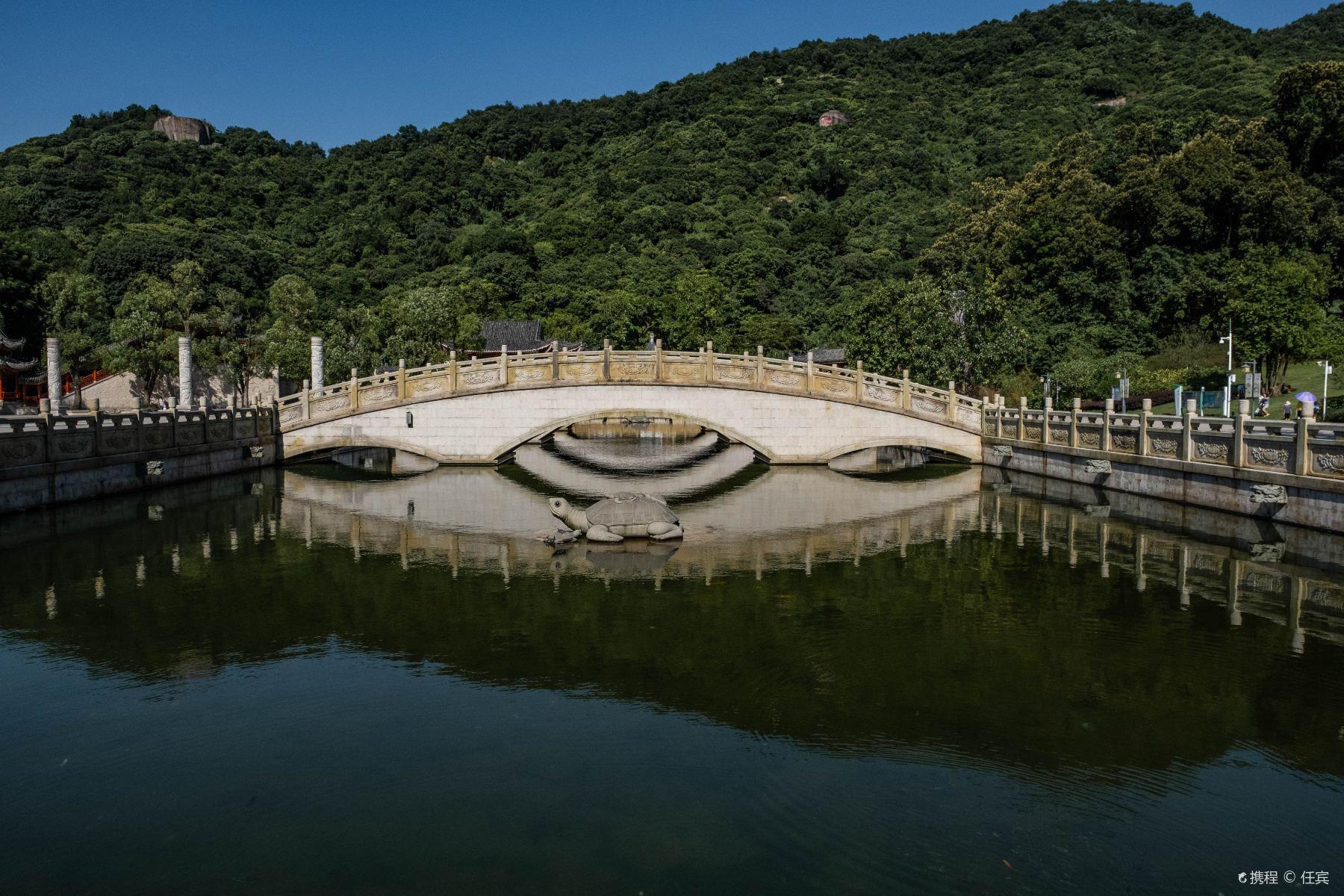 阳台山森林公园