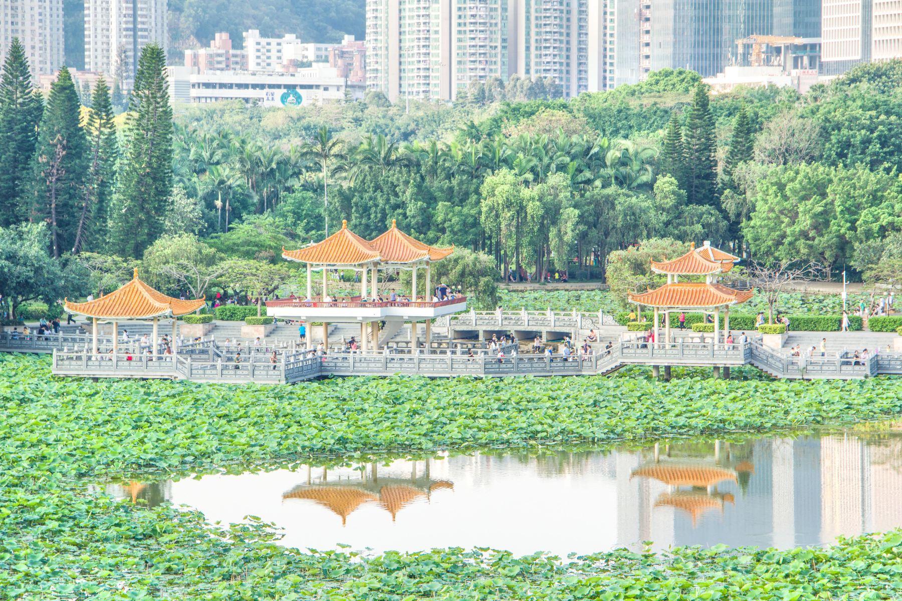 洪湖公园