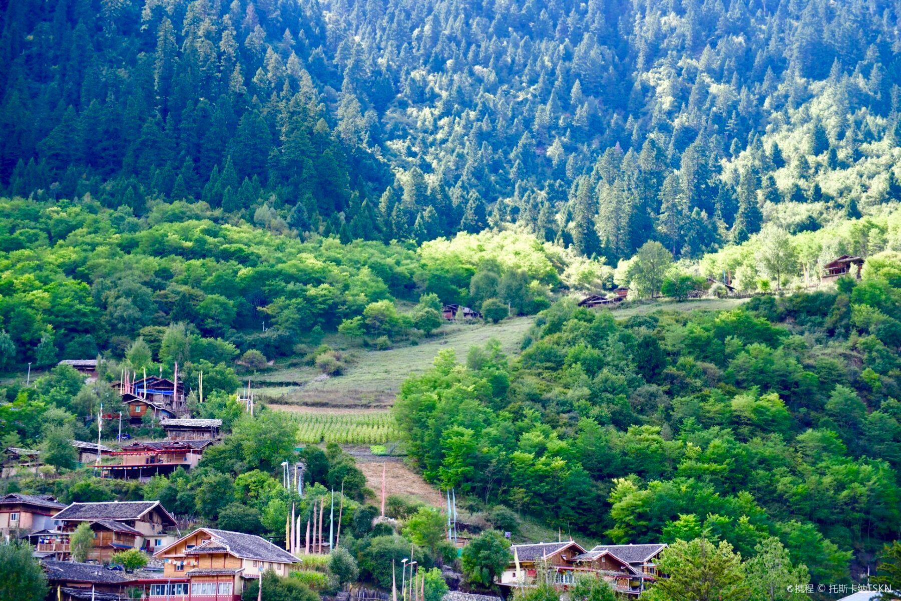 中查沟