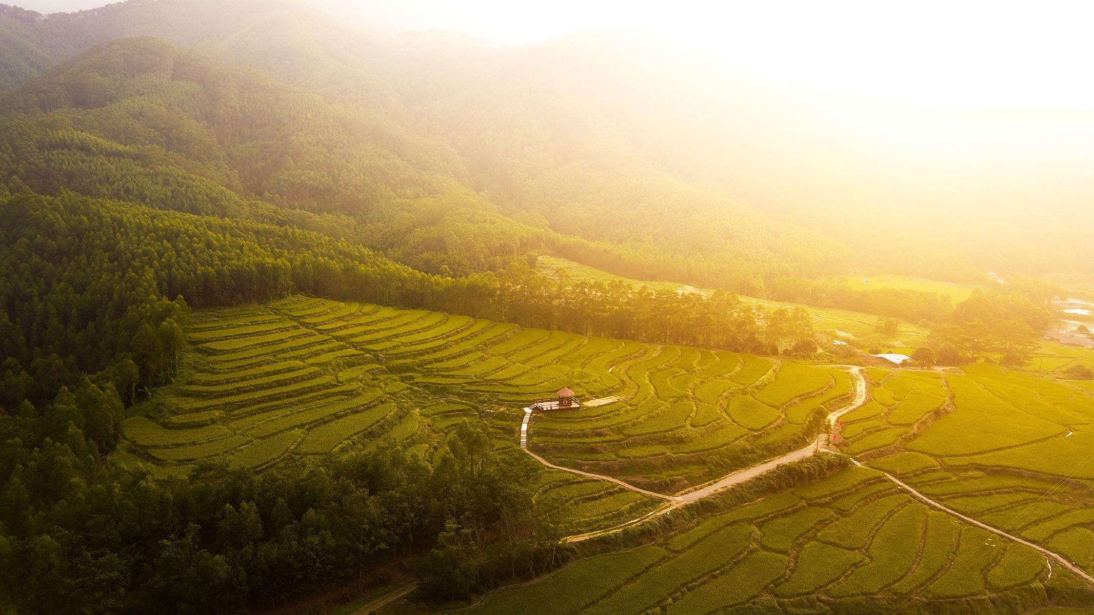 皂幕山旅游风景区