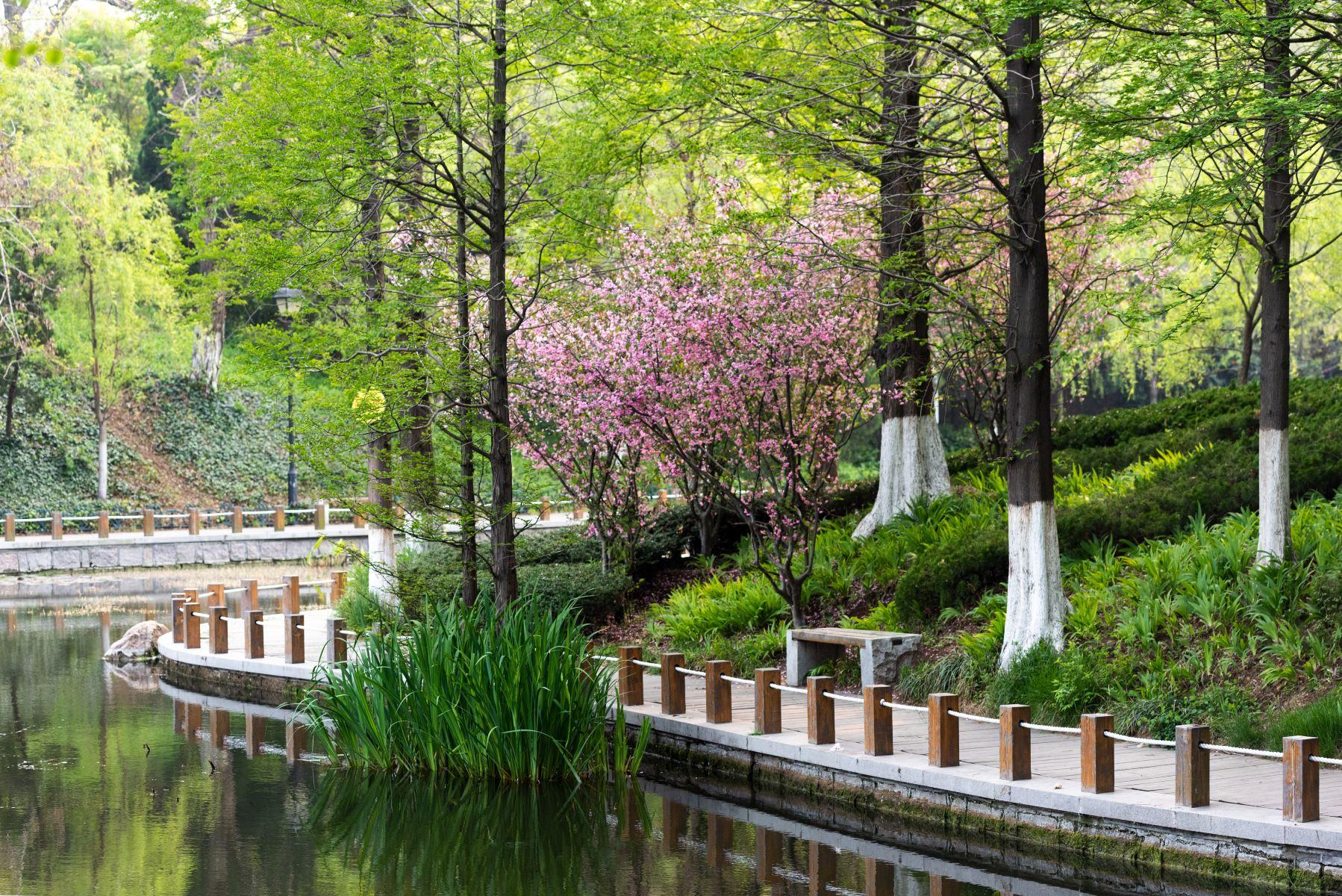 青岛市植物园
