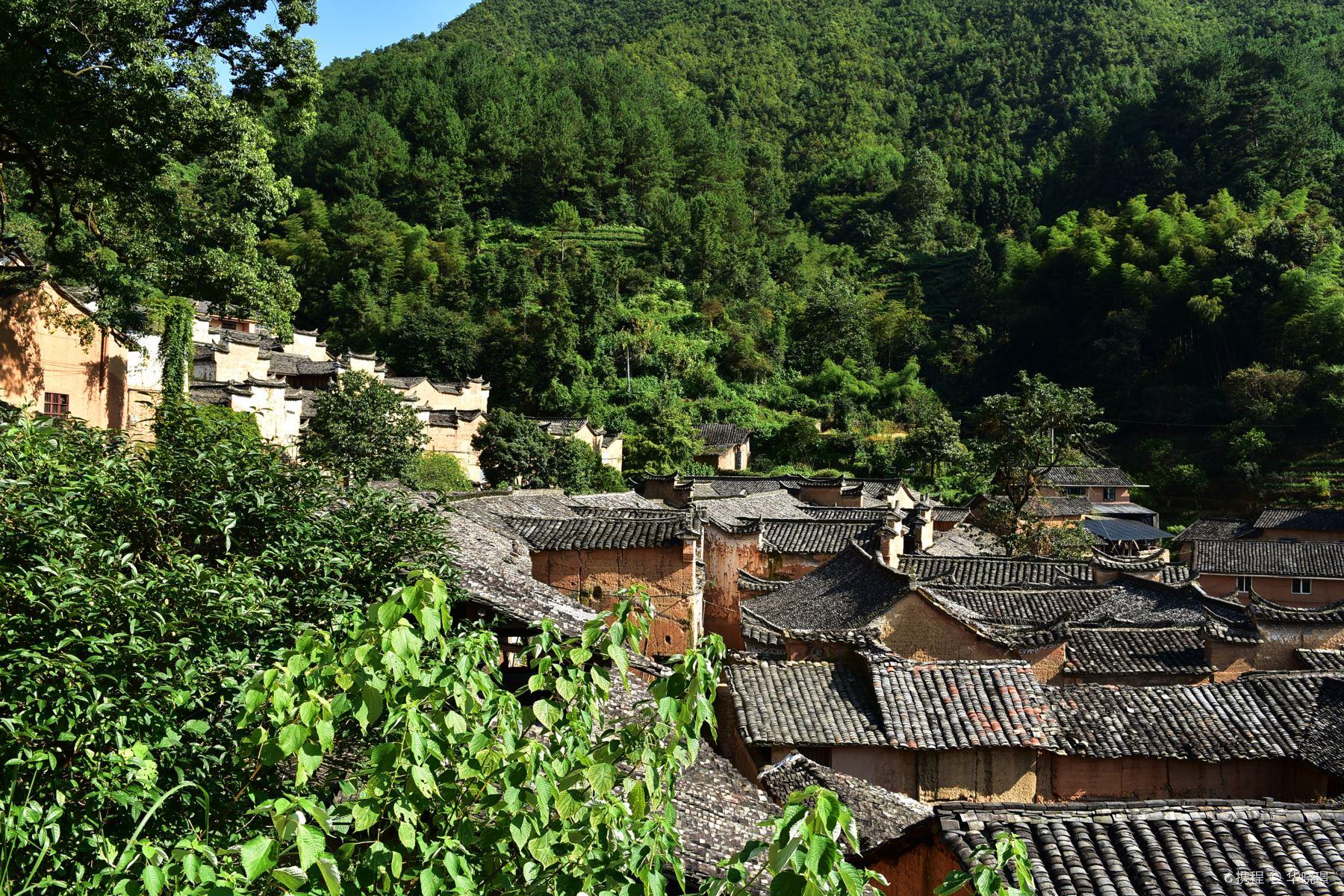 杨家堂村