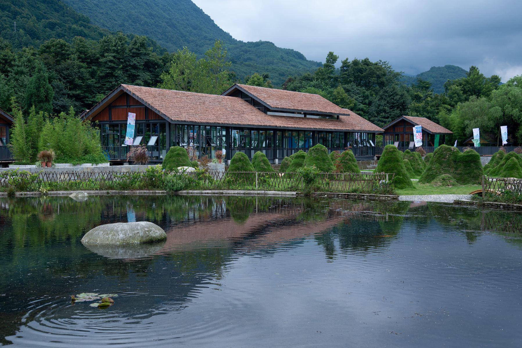 鱼凫湿地