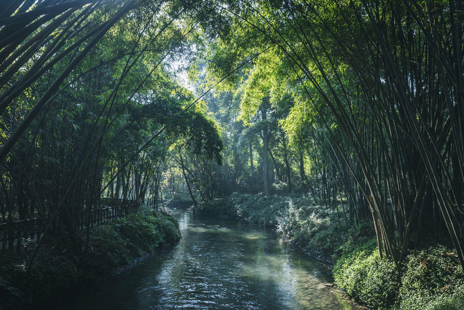 成都新津斑竹林景区