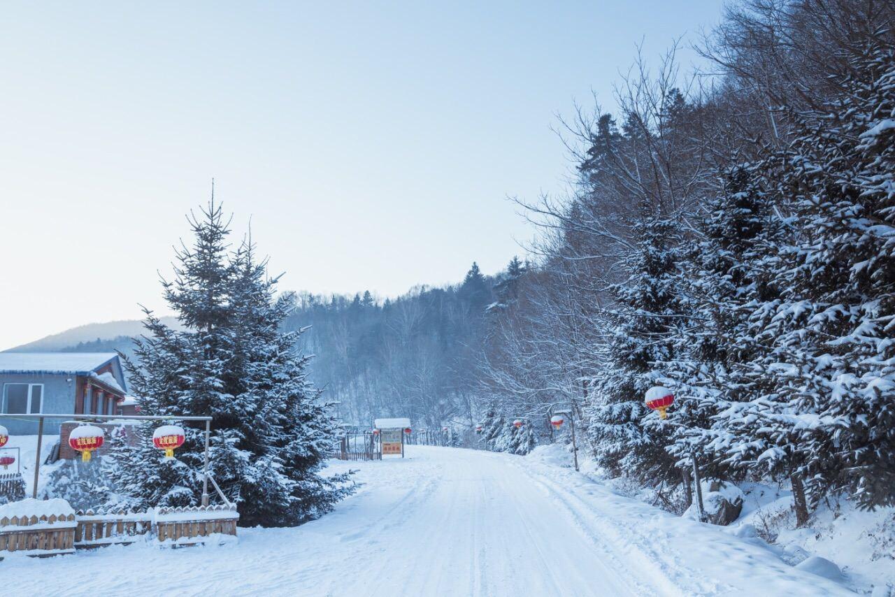 雪谷