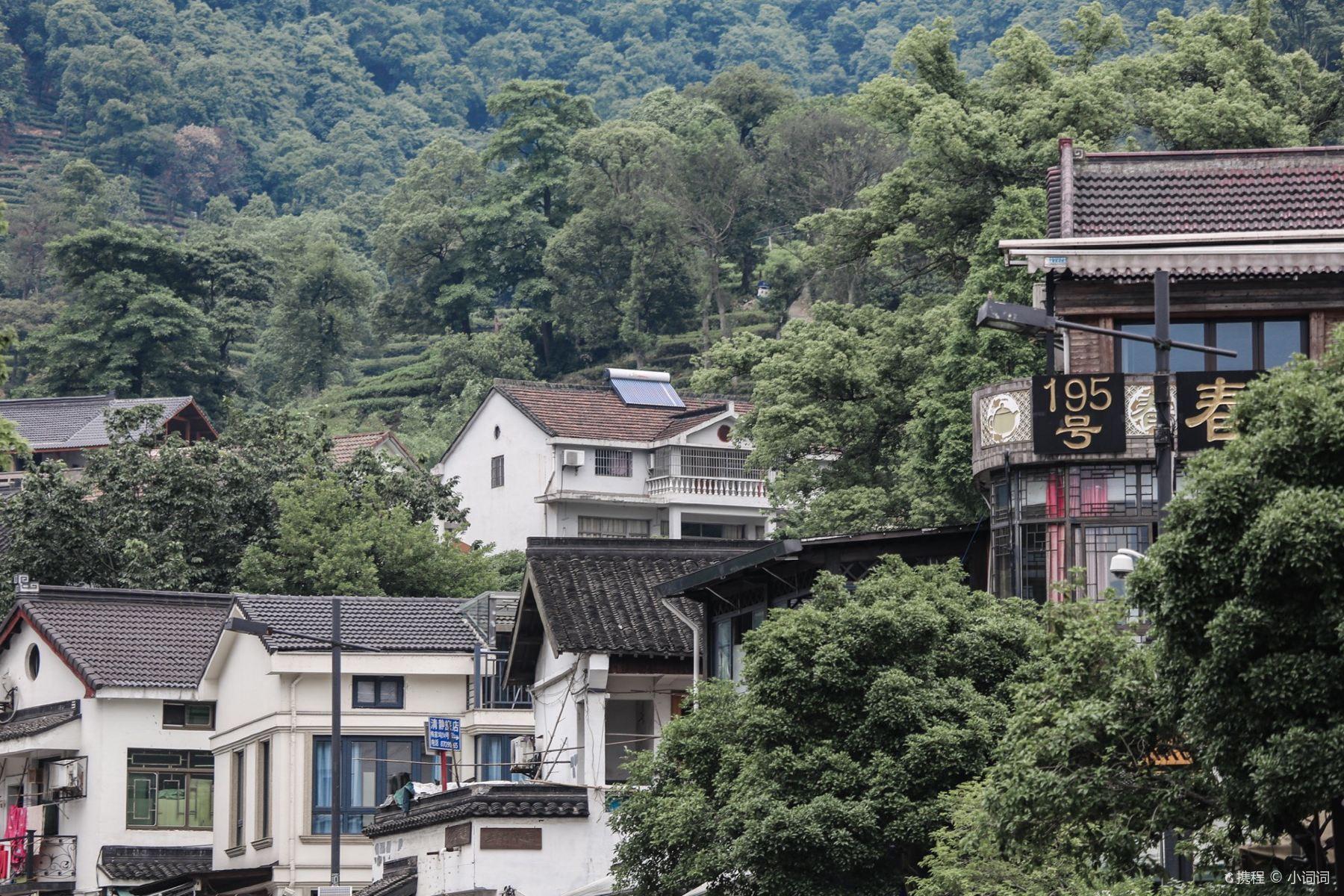 梅家坞村