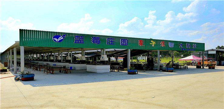 蓝莓庄园(X001店)