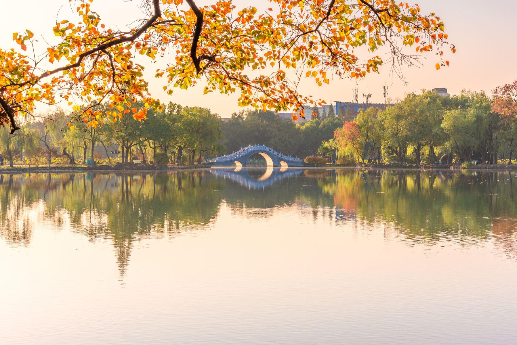 安庆市菱湖风景区