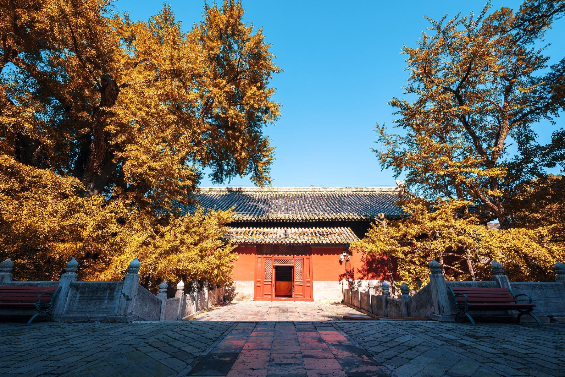 大觉寺