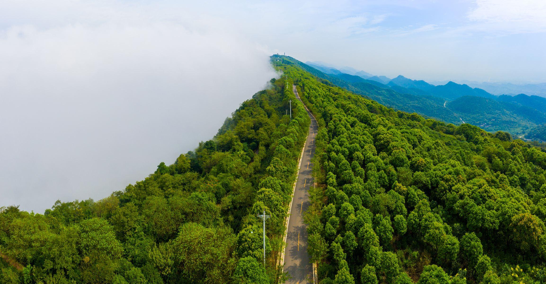 云龟山景区